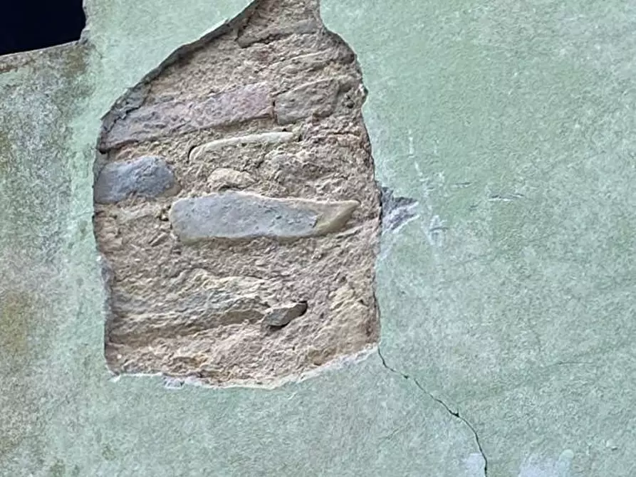 Immagine 50 di Rustico / casale in vendita  a Capannori