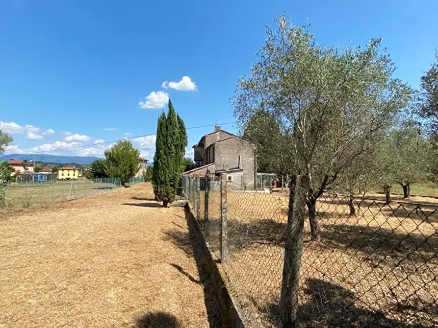 Immagine 46 di Rustico / casale in vendita  a Capannori
