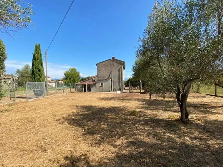 Immagine 47 di Rustico / casale in vendita  a Capannori