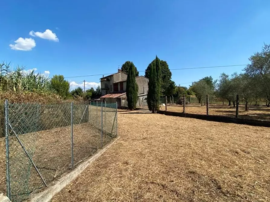 Immagine 45 di Rustico / casale in vendita  a Capannori