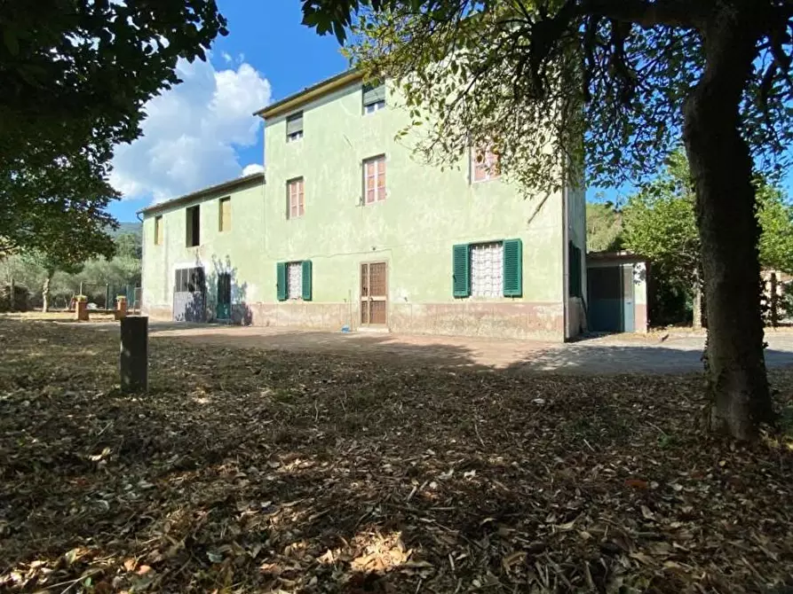 Immagine 43 di Rustico / casale in vendita  a Capannori