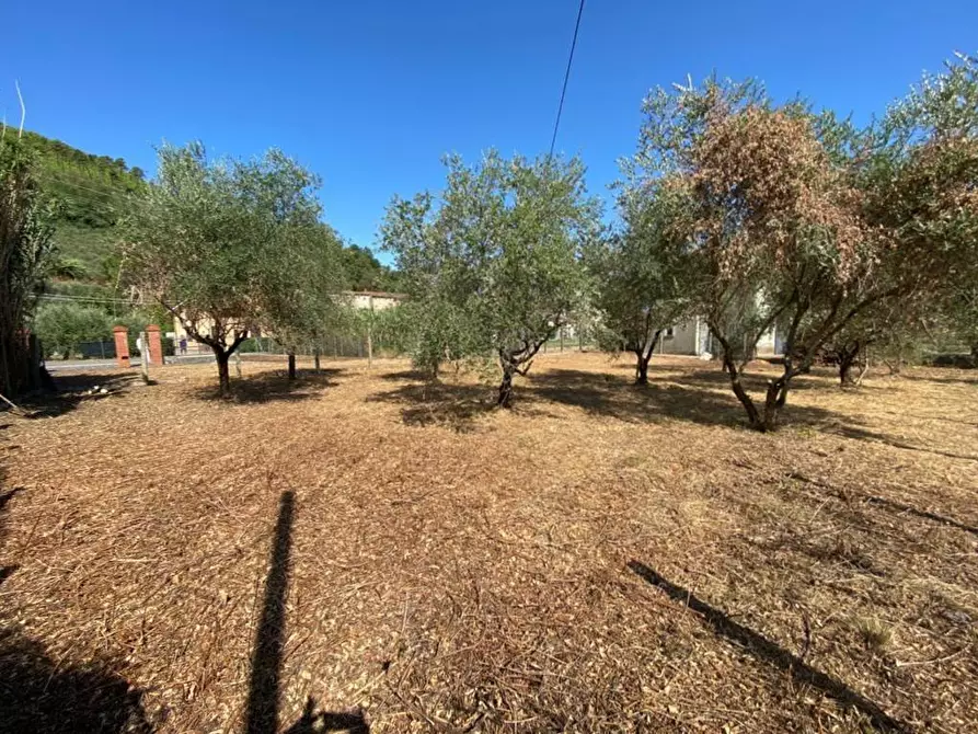 Immagine 49 di Rustico / casale in vendita  a Capannori