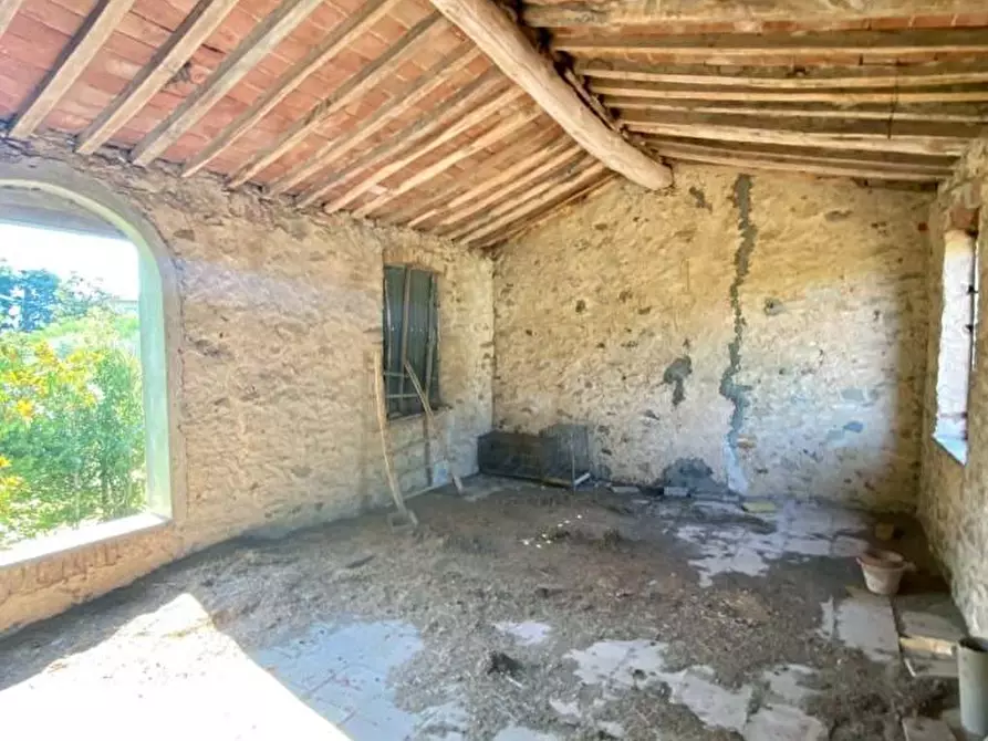 Immagine 38 di Rustico / casale in vendita  a Capannori