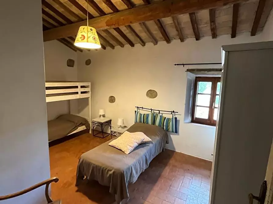 Immagine 43 di Casa colonica in vendita  a Santa Luce