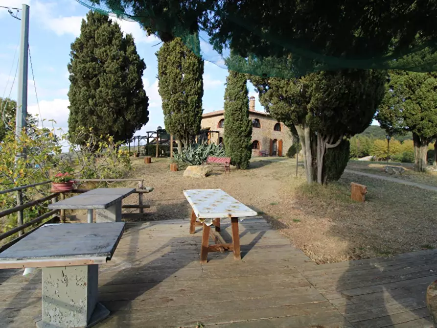 Immagine 19 di Casa colonica in vendita  a Santa Luce