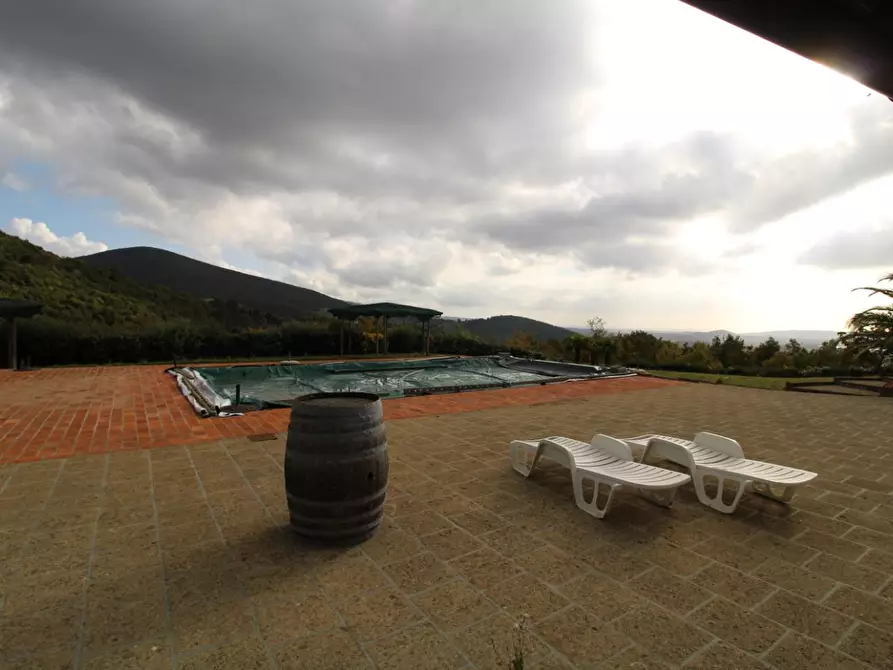 Immagine 6 di Casa colonica in vendita  a Santa Luce