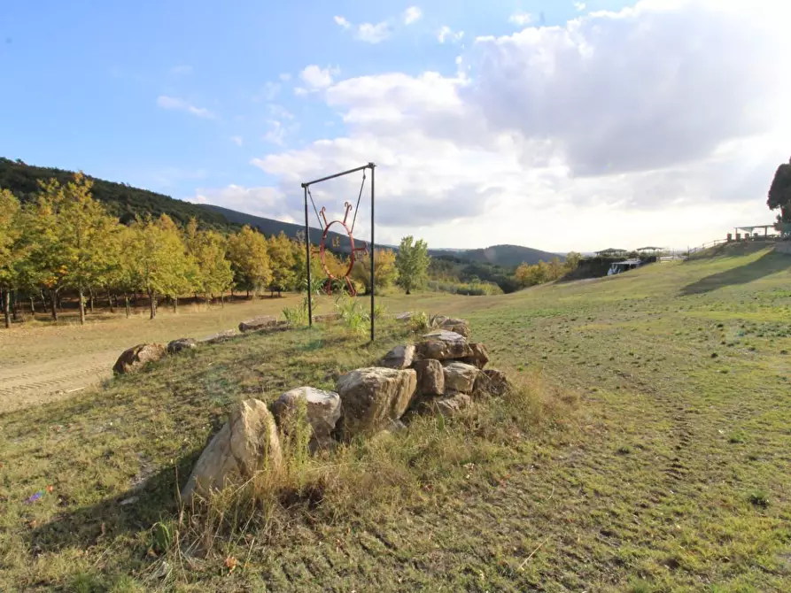 Immagine 10 di Casa colonica in vendita  a Santa Luce