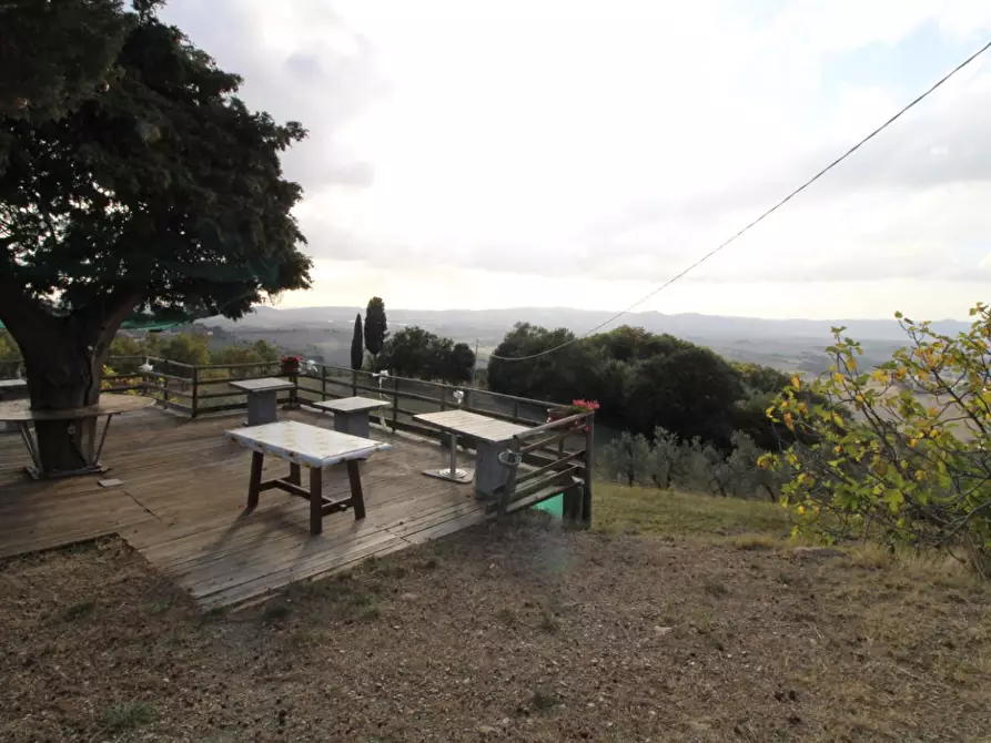 Immagine 17 di Casa colonica in vendita  a Santa Luce