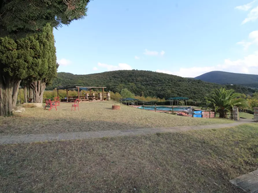 Immagine 5 di Casa colonica in vendita  a Santa Luce