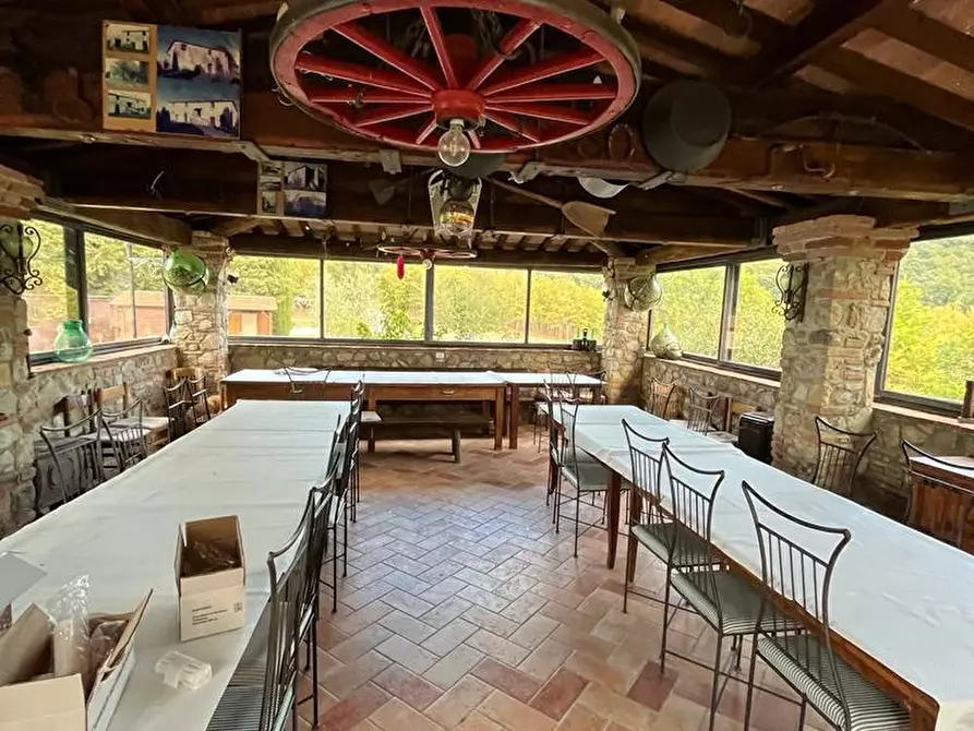 Immagine 25 di Casa colonica in vendita  a Santa Luce