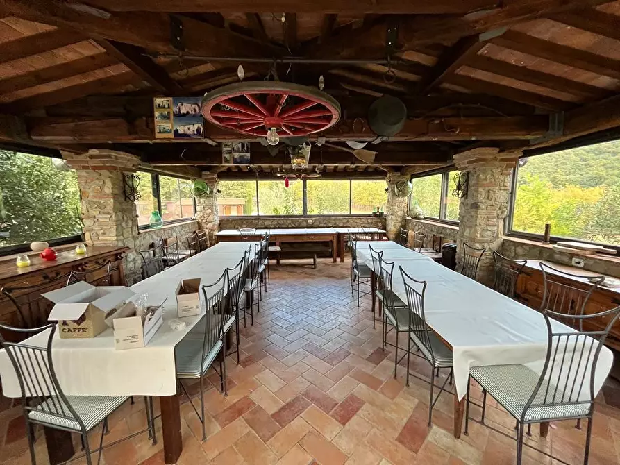 Immagine 24 di Casa colonica in vendita  a Santa Luce