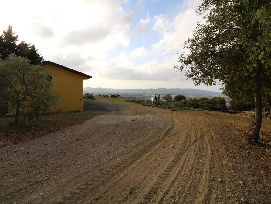 Immagine 29 di Casa colonica in vendita  a Santa Luce