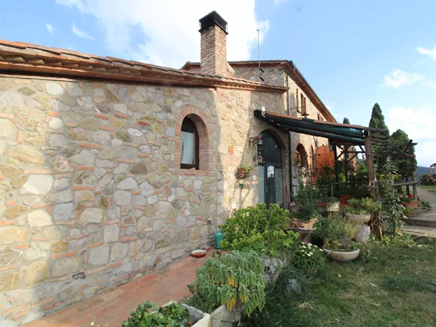 Immagine 20 di Casa colonica in vendita  a Santa Luce