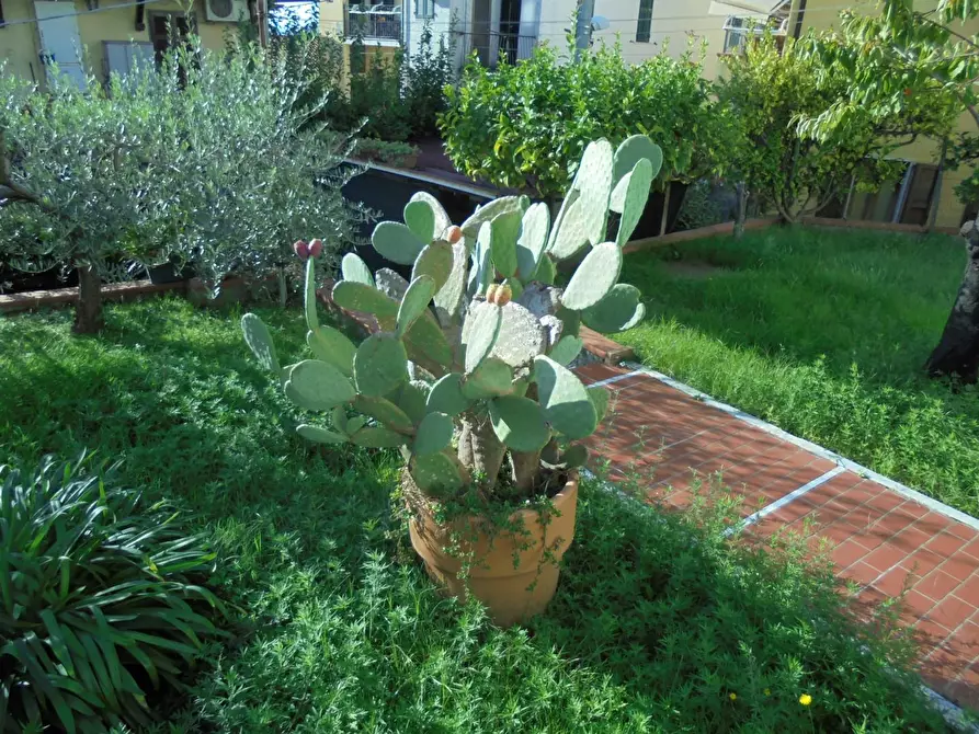 Immagine 28 di Appartamento in vendita  a Massa