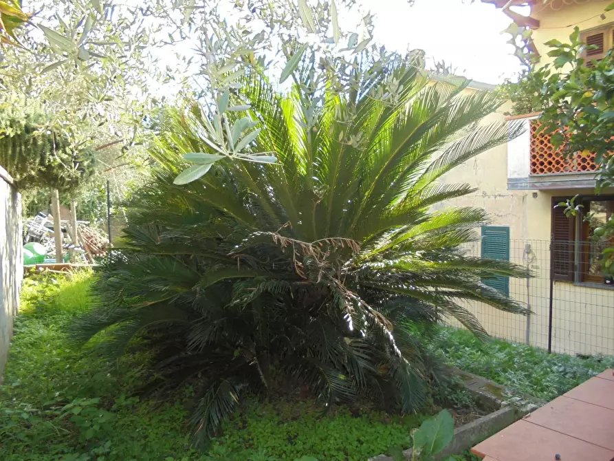 Immagine 37 di Appartamento in vendita  a Massa