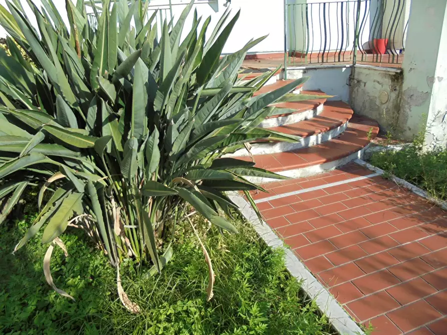 Immagine 35 di Appartamento in vendita  a Massa