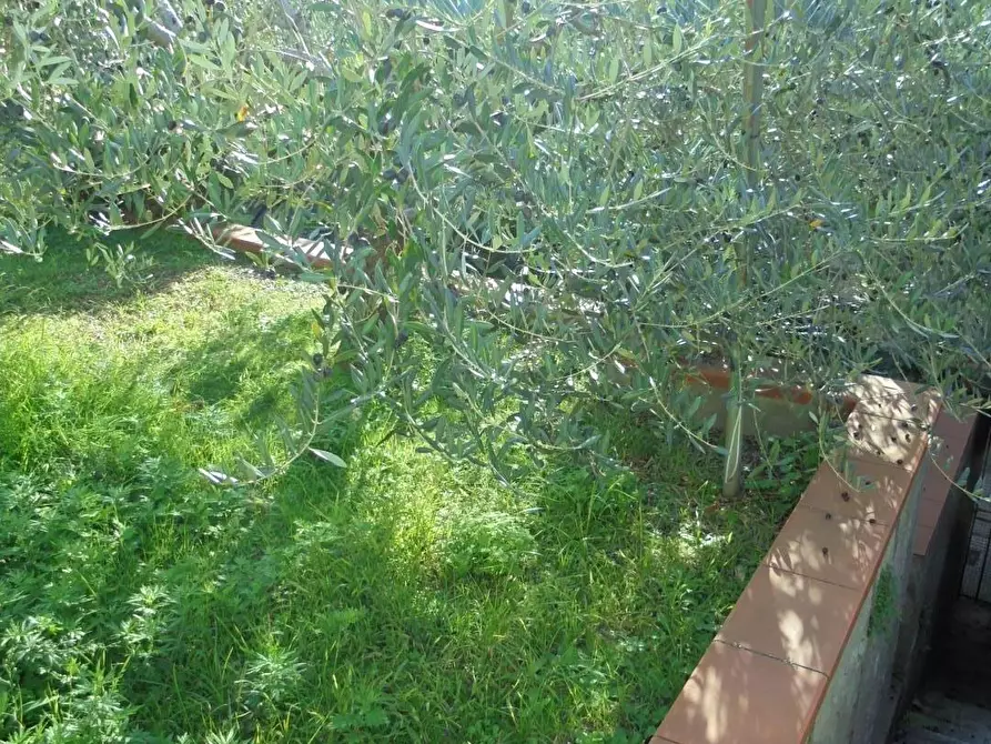 Immagine 34 di Appartamento in vendita  a Massa