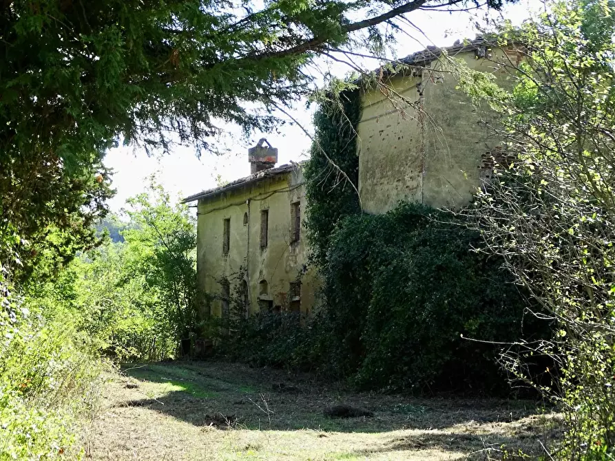 Immagine 4 di Casa colonica in vendita  a San Miniato
