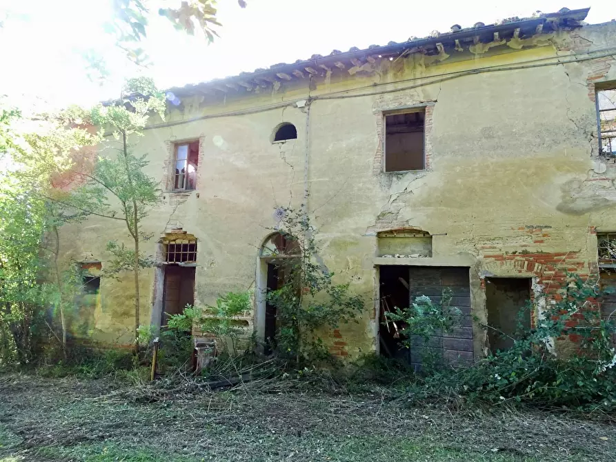 Immagine 8 di Casa colonica in vendita  a San Miniato