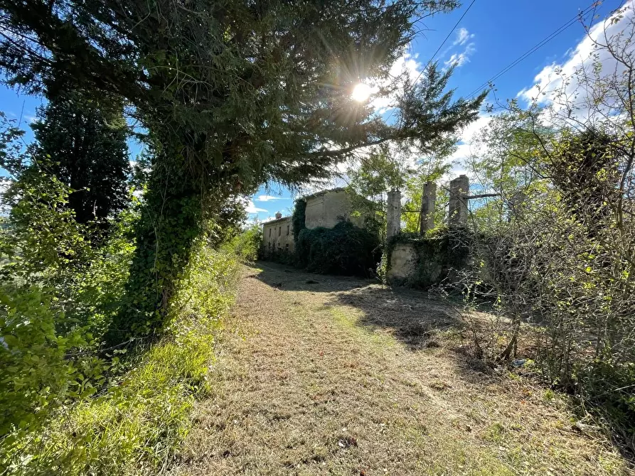 Immagine 16 di Casa colonica in vendita  a San Miniato