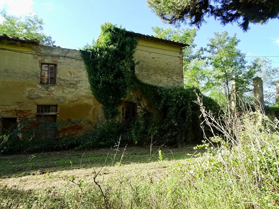 Immagine 11 di Casa colonica in vendita  a San Miniato