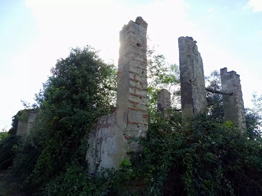 Immagine 13 di Casa colonica in vendita  a San Miniato