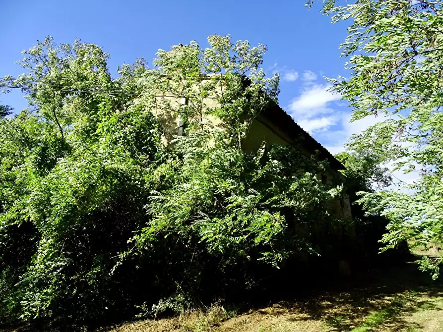 Immagine 6 di Casa colonica in vendita  a San Miniato
