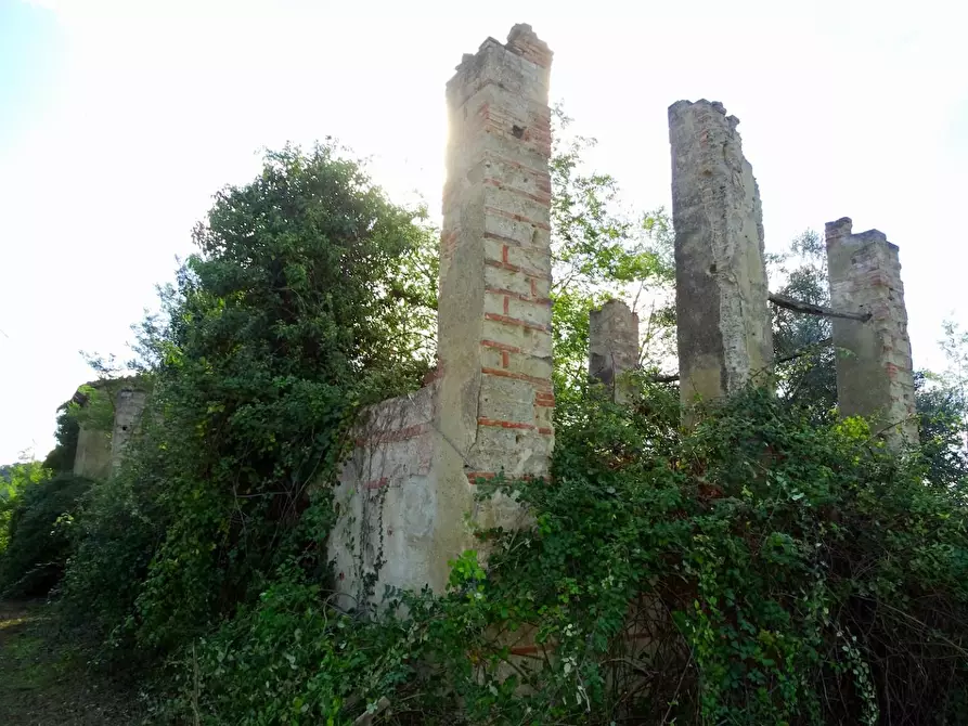 Immagine 15 di Casa colonica in vendita  a San Miniato