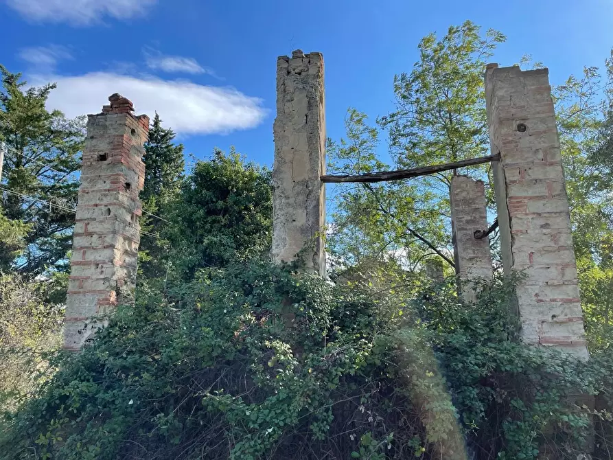 Immagine 12 di Casa colonica in vendita  a San Miniato