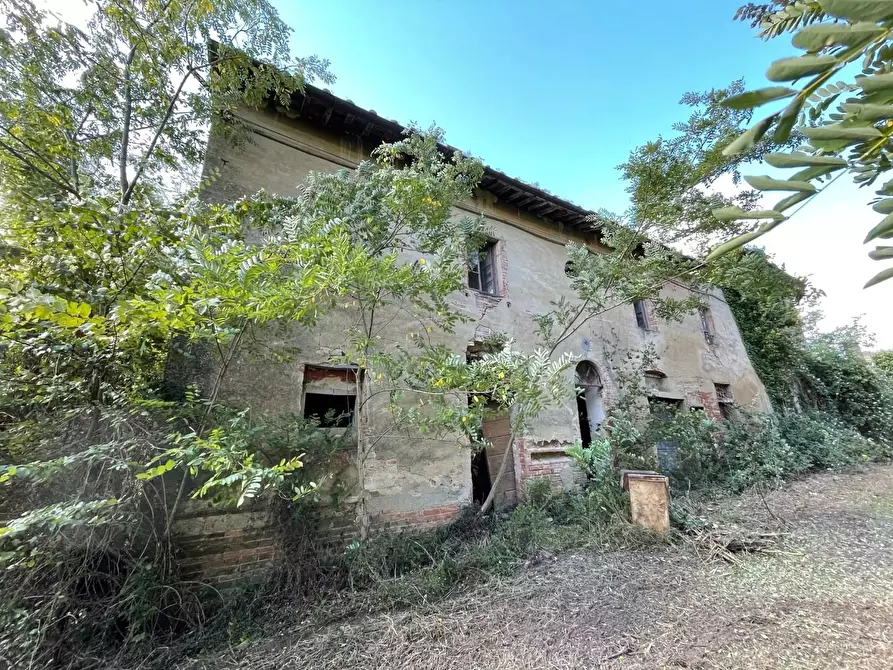 Immagine 7 di Casa colonica in vendita  a San Miniato