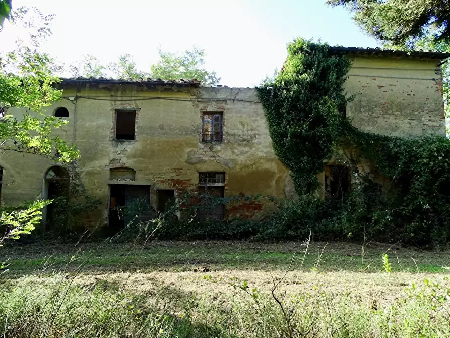 Immagine 9 di Casa colonica in vendita  a San Miniato