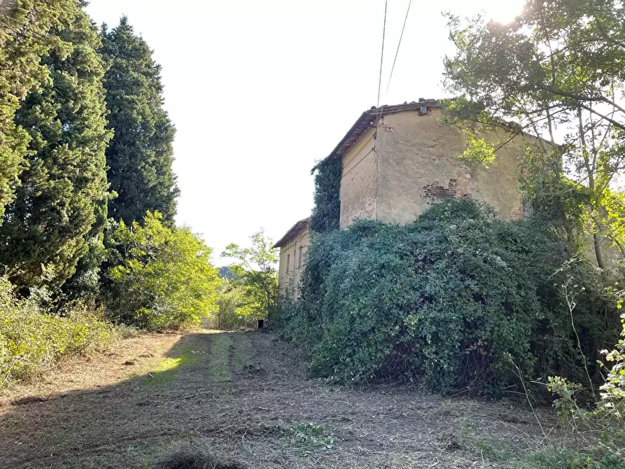 Immagine 5 di Casa colonica in vendita  a San Miniato