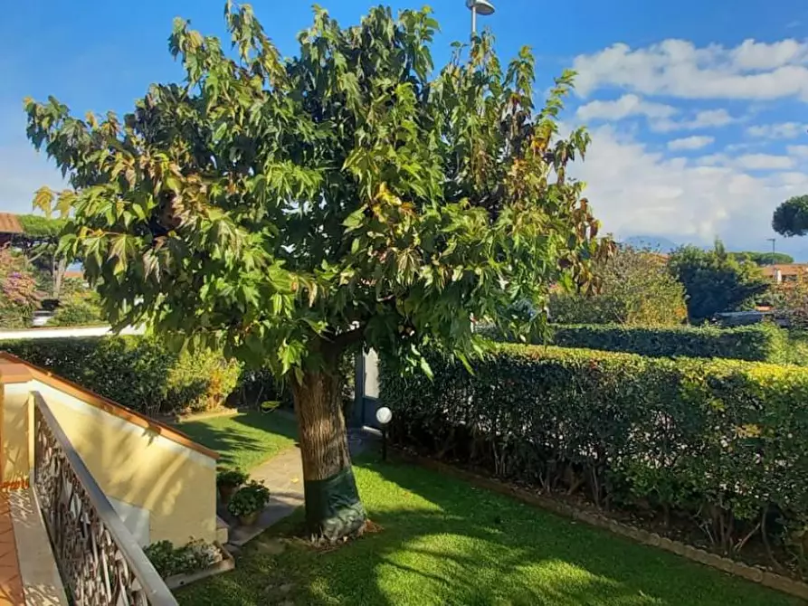 Immagine 3 di Casa indipendente in vendita  a Camaiore