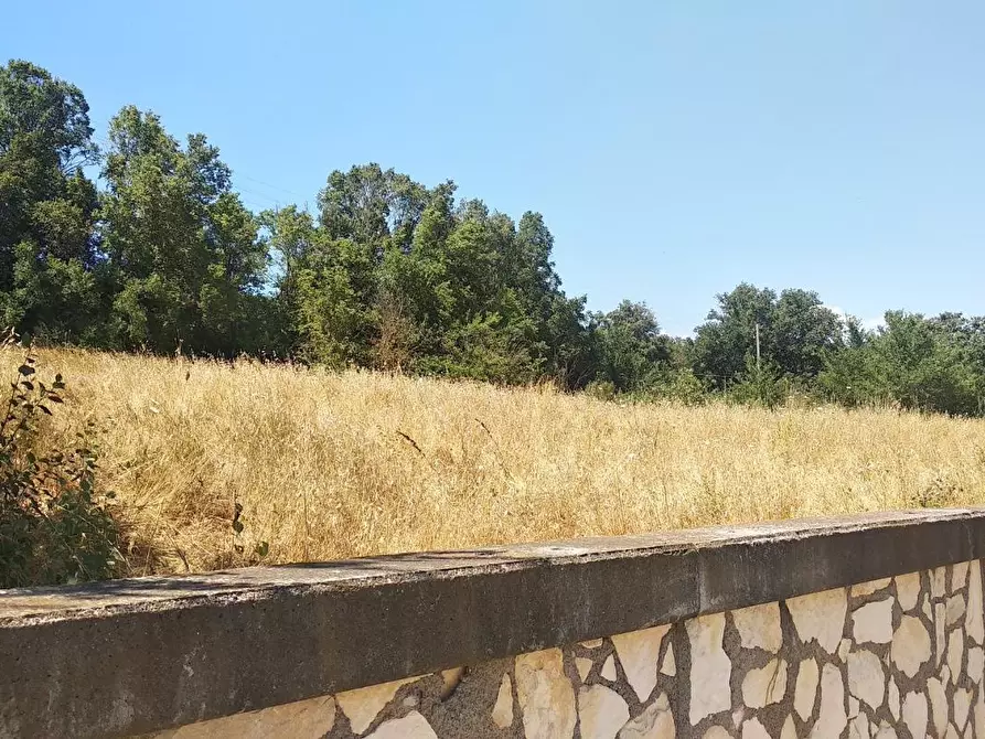 Immagine 14 di Palazzo in vendita  a Campagnatico