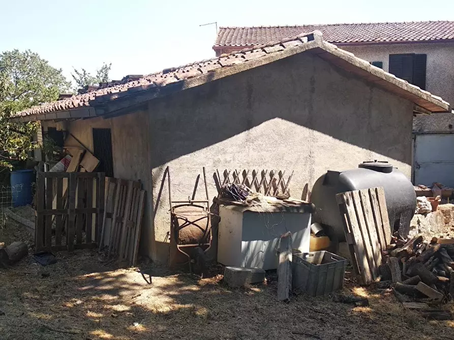 Immagine 11 di Palazzo in vendita  a Campagnatico