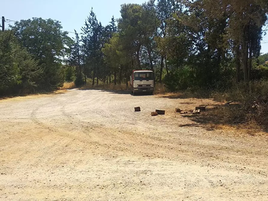 Immagine 12 di Palazzo in vendita  a Campagnatico