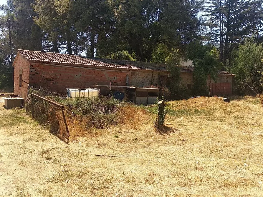 Immagine 10 di Palazzo in vendita  a Campagnatico