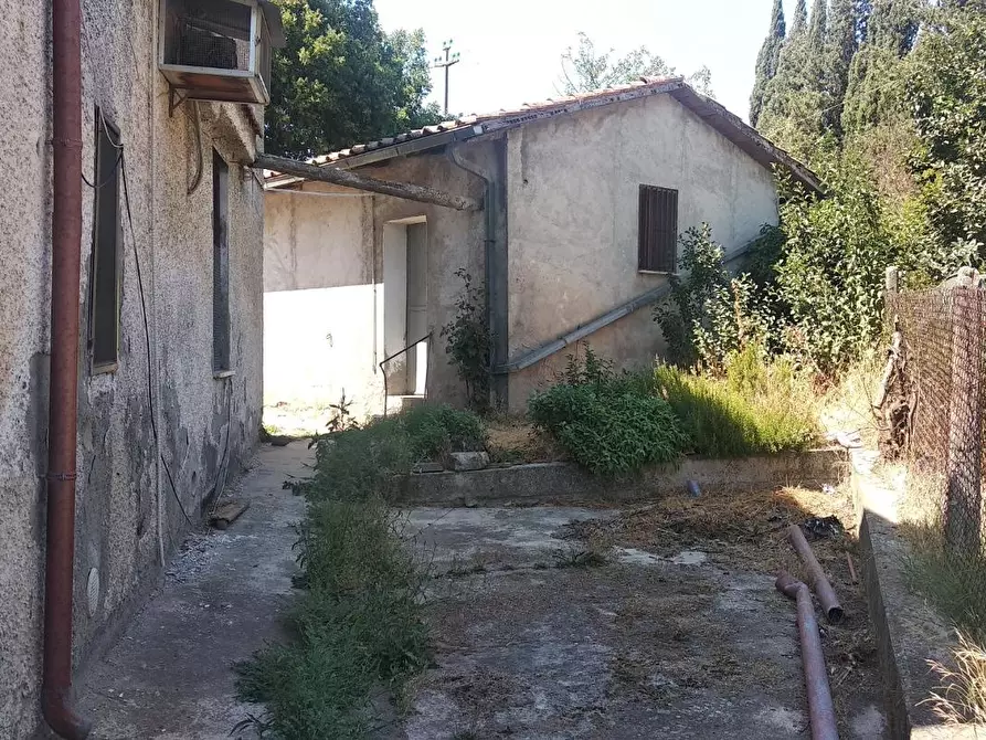 Immagine 6 di Palazzo in vendita  a Campagnatico