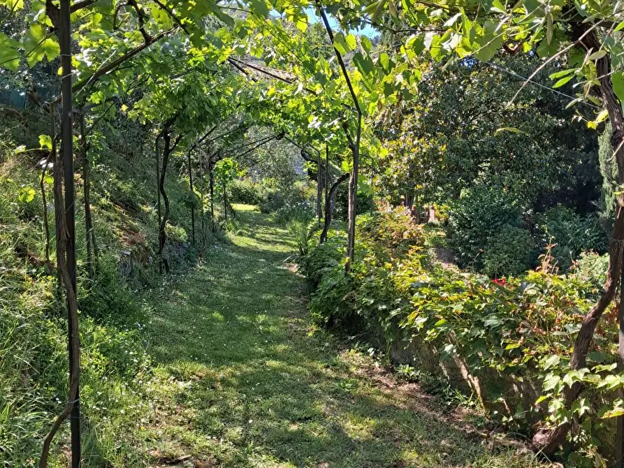 Immagine 30 di Rustico / casale in vendita  a Lucca
