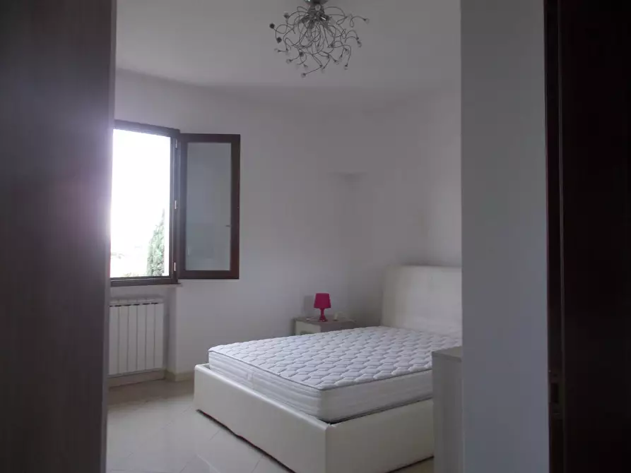 Immagine 9 di Appartamento in affitto  a Pontedera