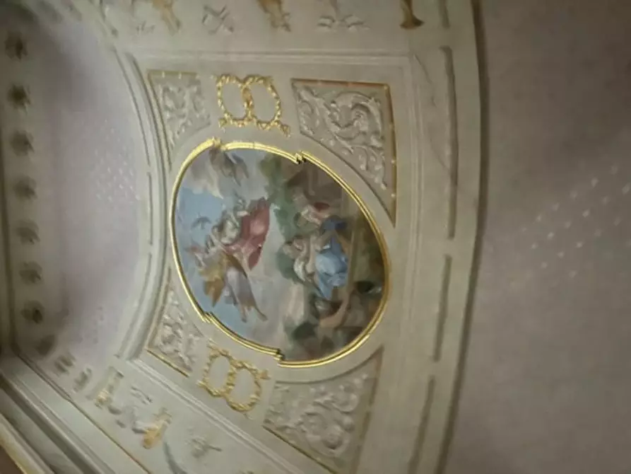 Immagine 12 di Appartamento in affitto  a Pisa