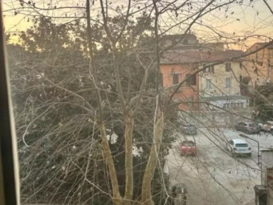 Immagine 11 di Appartamento in affitto  a Pisa