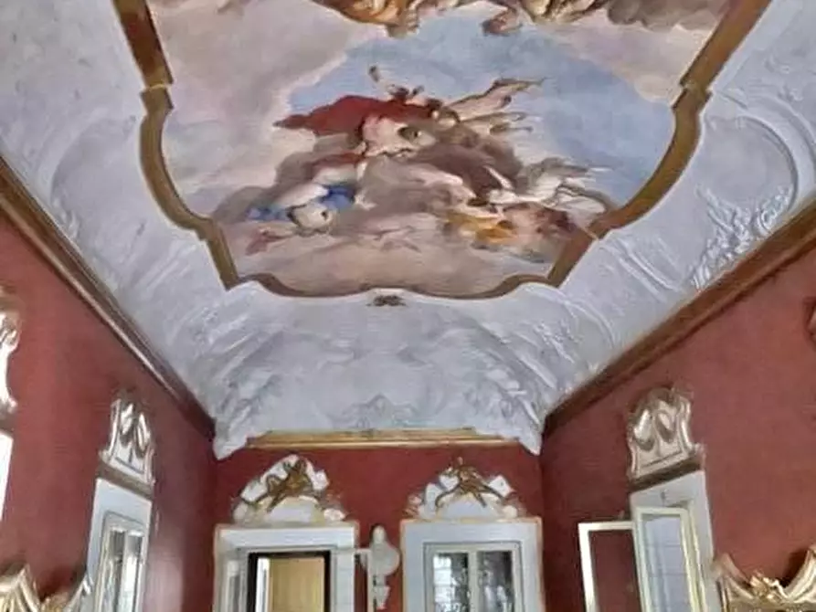 Immagine 10 di Appartamento in affitto  a Pisa