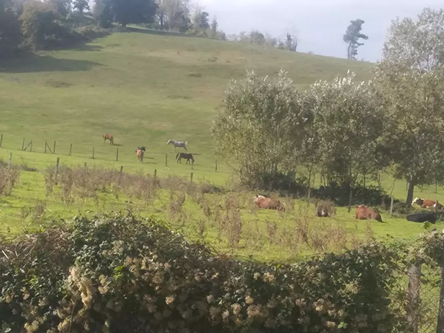 Immagine 13 di Casa colonica in vendita  a Crespina Lorenzana