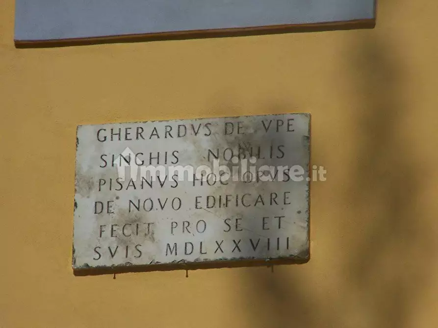 Immagine 15 di Casa colonica in vendita  a Crespina Lorenzana