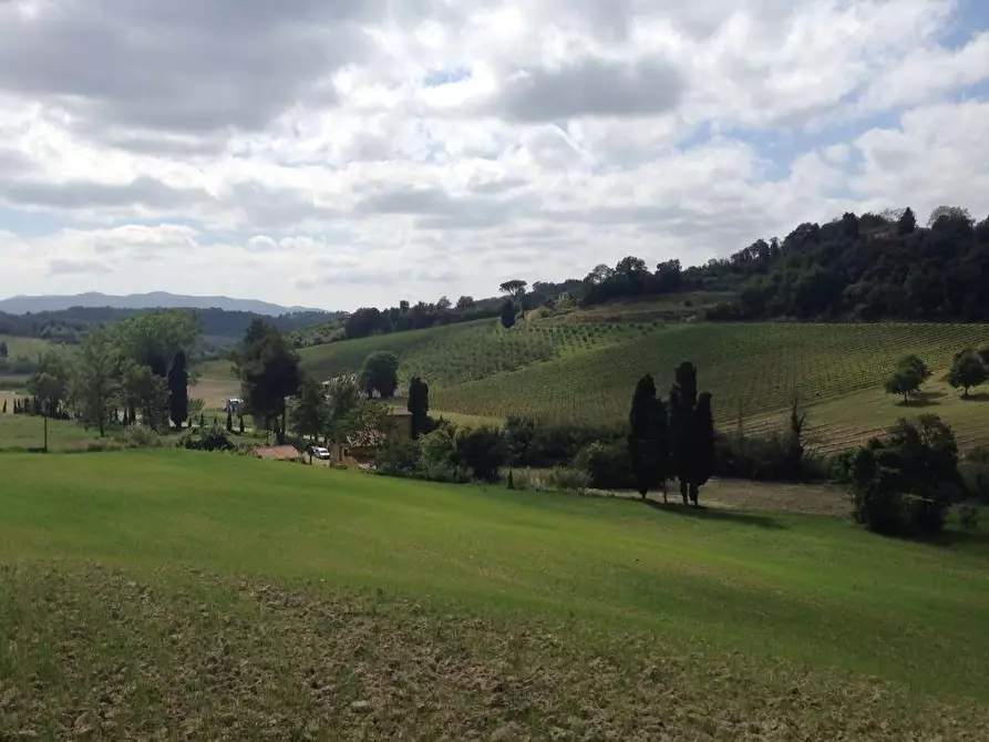 Immagine 14 di Casa colonica in vendita  a Crespina Lorenzana