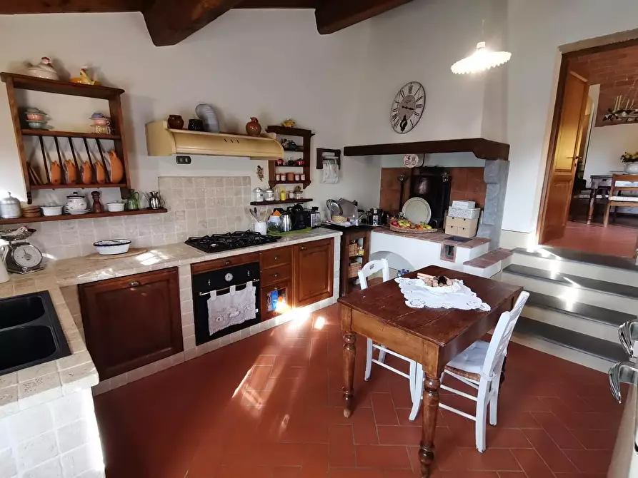 Immagine 23 di Rustico / casale in vendita  a Palaia