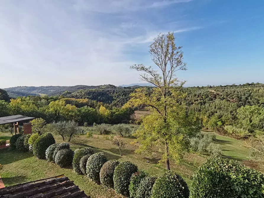 Immagine 29 di Rustico / casale in vendita  a Palaia