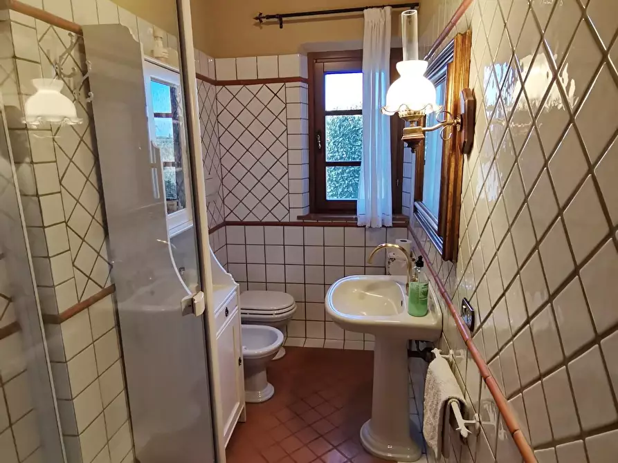 Immagine 33 di Rustico / casale in vendita  a Palaia