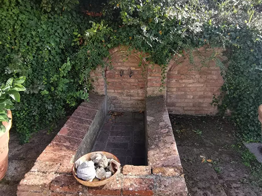 Immagine 24 di Rustico / casale in vendita  a Palaia